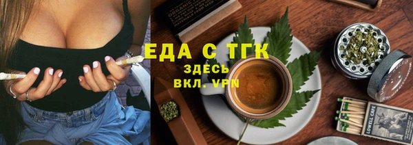 индика Семёнов