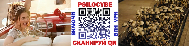 купить   Новодвинск  omg сайт  Галлюциногенные грибы прущие грибы 