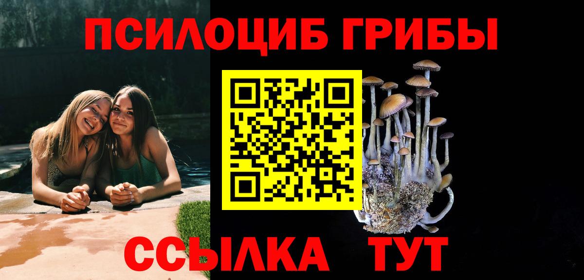 Псилоцибиновые грибы мицелий Новодвинск